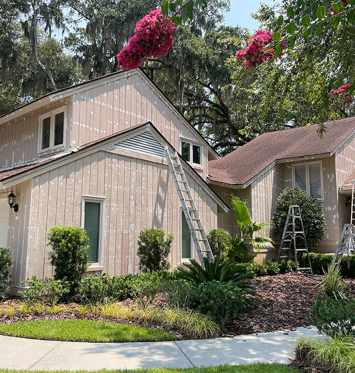 Professional painting services